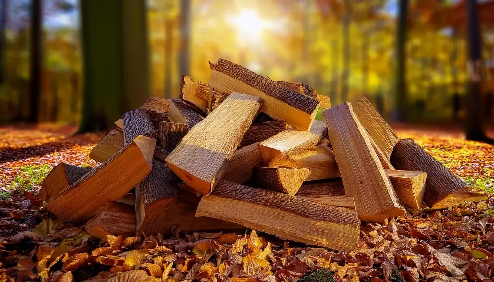 Fournisseur de bois de chauffage en gros en Andorre