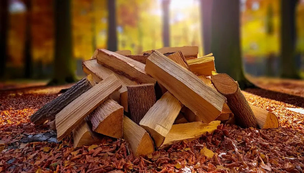 Grossiste en bois de chauffage en Bourgogne-Franche-Comté