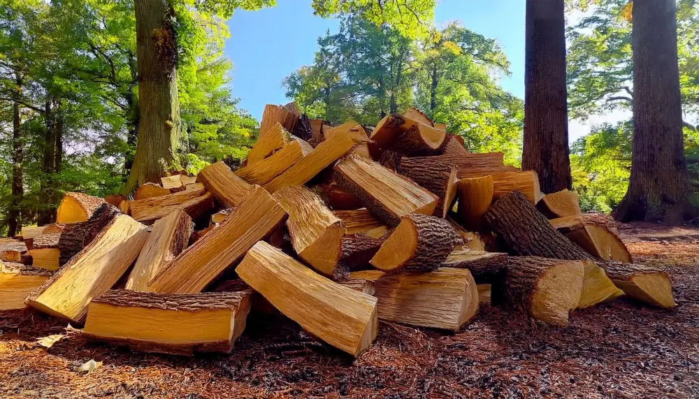 Fournisseur de bois de chauffage en gros dans le Grand Est