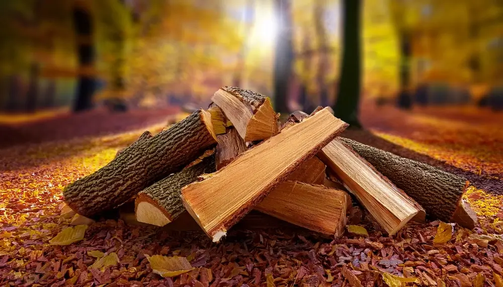 Grossiste en bois de chauffage en Espagne