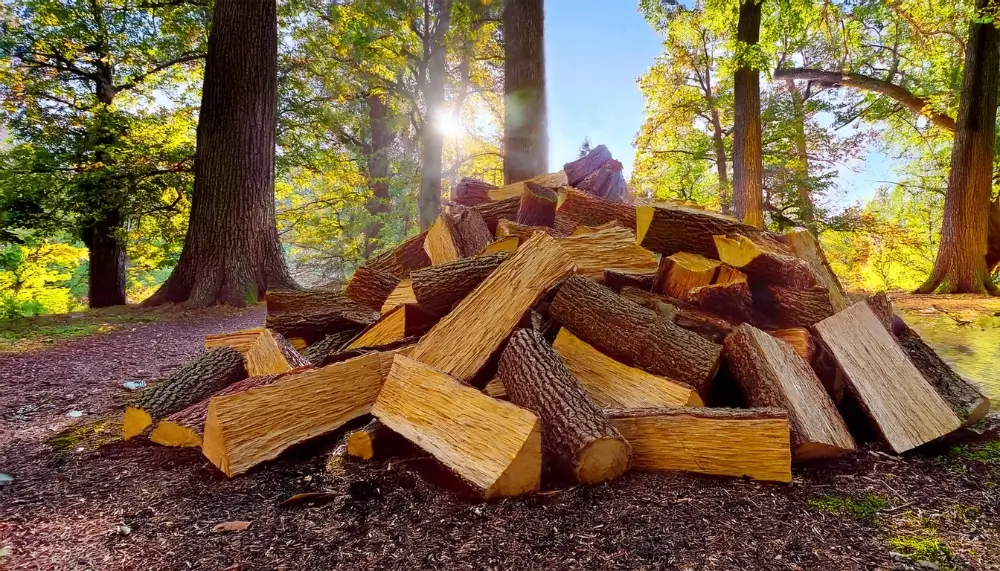 Fournisseur de bois de chauffage en gros en Hauts-de-France