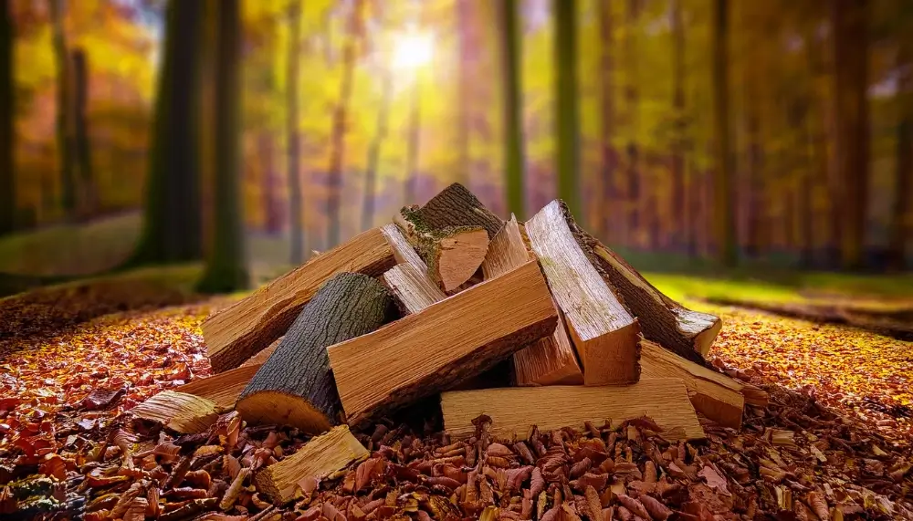 Grossiste en bois de chauffage en Auvergne-Rhône-Alpes
