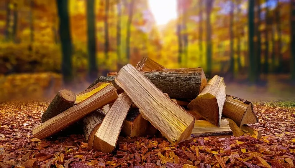 Fournisseur de bois de chauffage en gros en Centre-Val de Loire