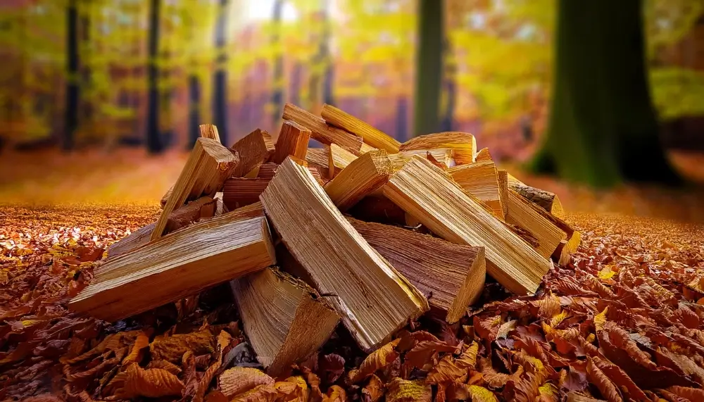 Fournisseur de bois de chauffage en gros en Île-de-France